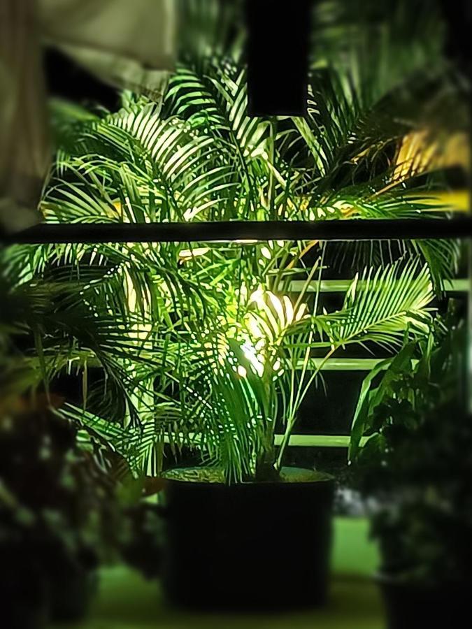 Hotel 2A 布莱尔港 外观 照片
